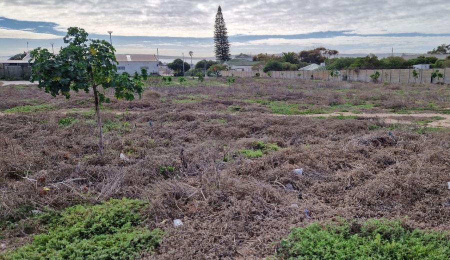 0 Bedroom Property for Sale in Middedorp Western Cape